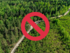 В Республике Коми ограничено пребывание граждан в лесах