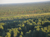 В Республике Коми снято ограничение на посещение лесов