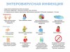 Памятка для населения по профилактике энтеровирусной инфекции