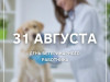 31 августа – День ветеринарного работника
