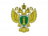 О внесении изменений в Семейный кодекс Российской Федерации